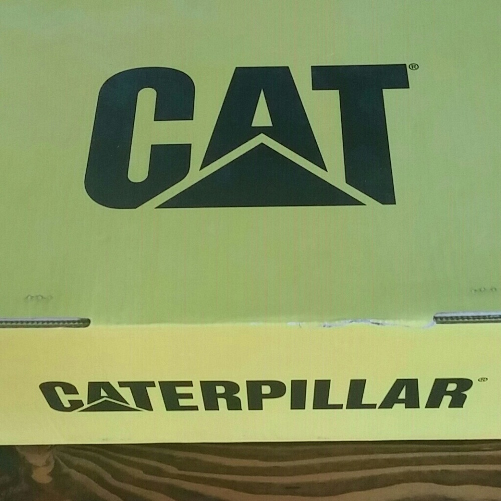New in box CAT steeltoe shoes.